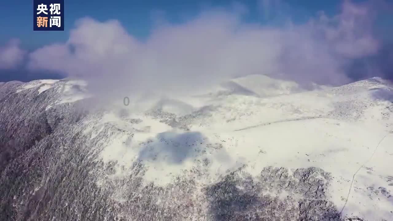 喜羊羊兄妹雪球大战3