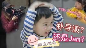孤独的流浪者救援